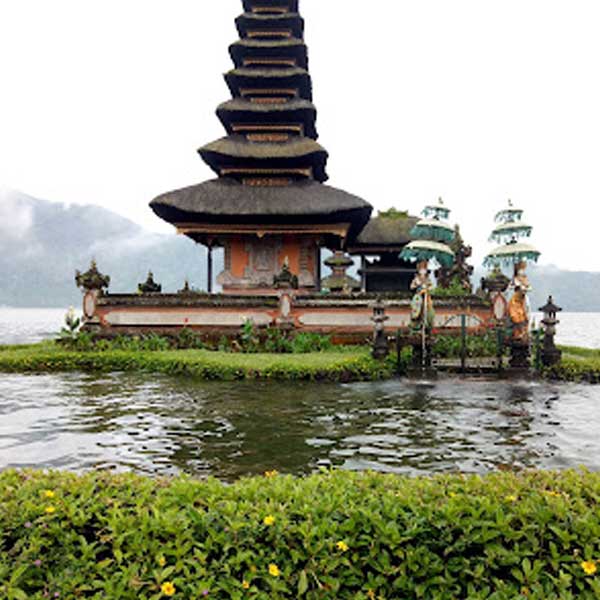 Tegallalang Rice Terrace